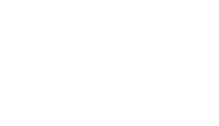 payroll consulting